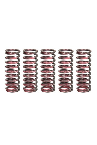 TRW Set Arcuri Ambreiaj Honda Cbr 1000 2004-2007 HONDA CBR