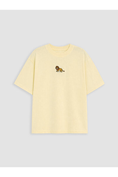 LC Waikiki Embroidered Boys' T-Shirt from Uzg Store for Style Enthusiasts