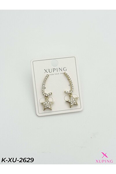 Bozhi Elegant Earrings Elegant Gift