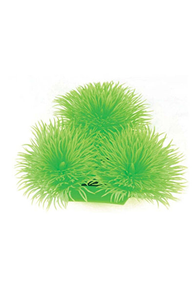 HUGO Kamishi Japonica Aquarium Plant Decor 10cm