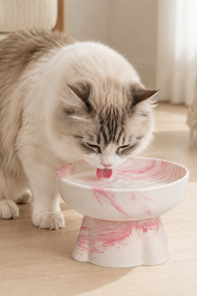 Pawicci 2-Li 12° Eğimli Seramik Marble Pink Kedi Kopek Mama ve Su Kabı Yükseltilmiş Boyun Rahatligi Omurga Destekleyici Set
