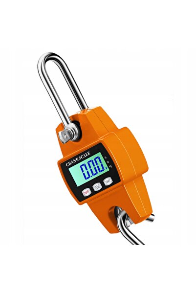 NO BRAND Troliu electronic industrial suspendat de 300 kg pentru ridicare cu ...