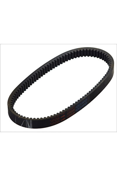 DAYCO Curea Trapezoidala Transmisie, Variomatik (latime: 30 14mm Lungime: 202...