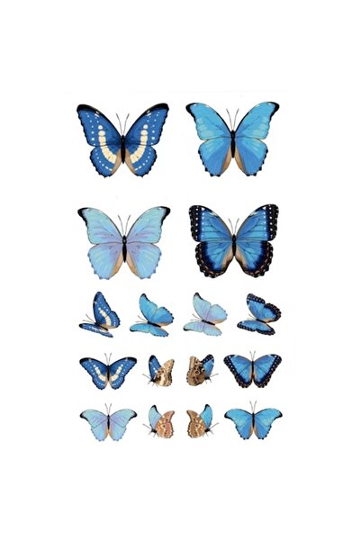 FlashTattoosRomania Tatuaj temporar, Flash Tattoos România, Fluture albastru,...