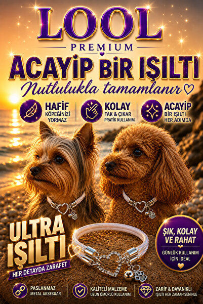LOOL PREMİUM Gümüş köpek kolyesi tasma parlak taşlı köpek kolye