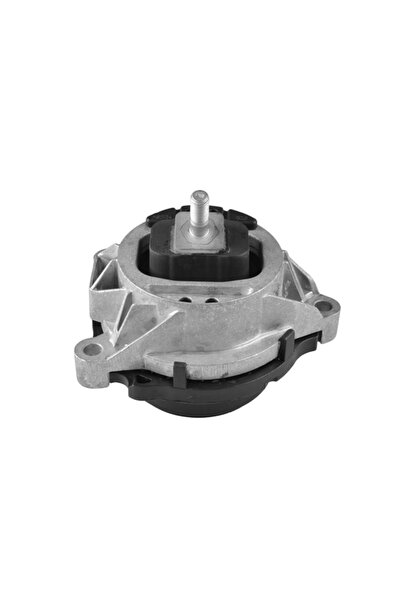 TEDGUM Suport Motor Stanga Ted38660 Bmw 3/3 Gran Turismo/4/4 Gran