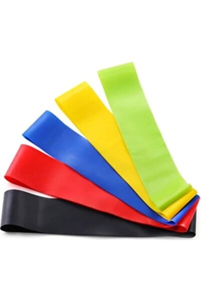 MELİNSUN 5-Piece Resistance Band Exercise Set Mini Loop Band Aerobic Exercise...