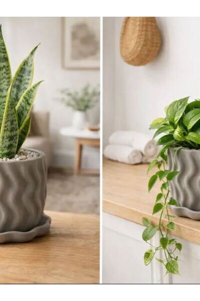 ThePrintHeaven Pot With - Çiçek saksısı