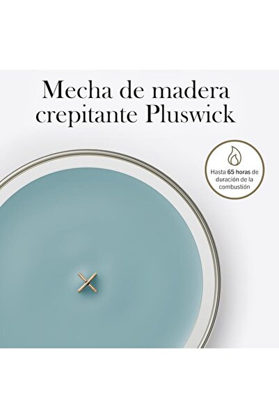 WoodWick شمعة معطرة بيضاوية الشكل مع فتيل متشقق |   توت ناضج تحت أشعة الشمس |...