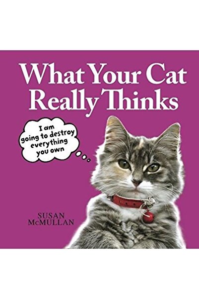 Generic (Unbranded) What your Cat Really Thinks