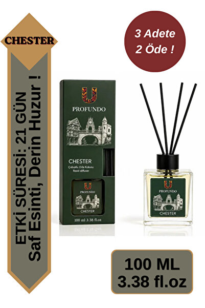 e-Bizz Store Chester Bambu Çubuklu Oda Kokusu 100 ml | Chester & Bahar Ferahlığı - Temiz Hava Esintisi