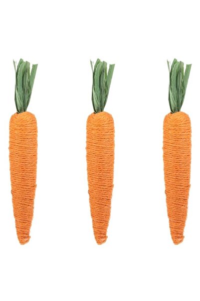 BAMI NETWORK Morcovi Decorativi pentru Paste, Set de 3, 16cm cu Sfoara
