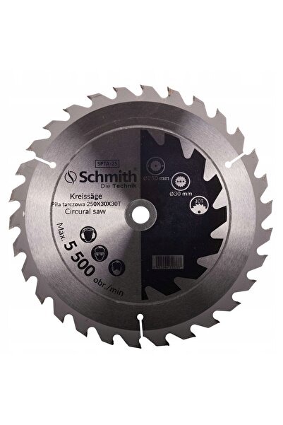 NO BRAND Fierăstrău circular cu disc 250x30x60T Schmith