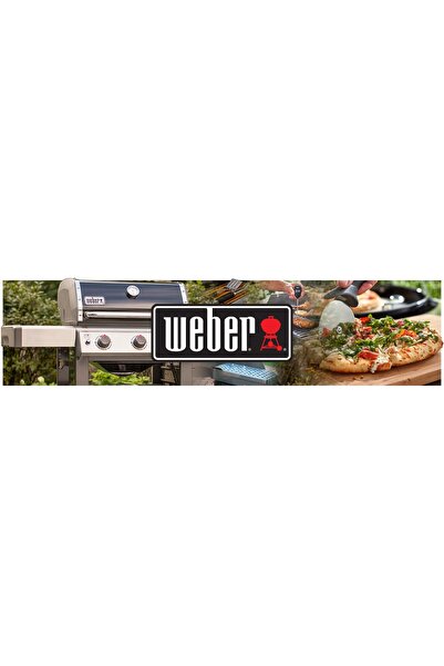 WEBER Lichid de curățat grătare 17875 300 ml