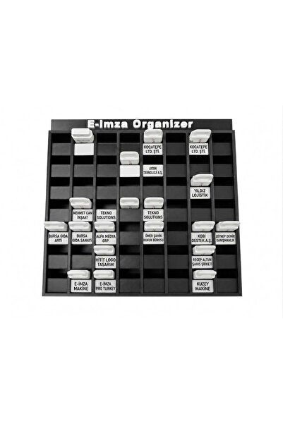 Tech Trade Mali Mühür E-Signature Organizer 56-Piece Desktop-Drawer-In-Wall Mounted (Adhesive Label Gift)