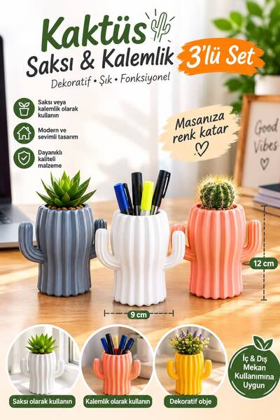 bimbambom Kaktüs Saksı, Sukulent Saksı, Plastik Saksı 3 adet mix