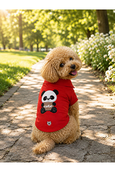 MİNİŞ PET BUTİK Miniş Cute Panda Small Breed Dog Pique Fabric Polo T-Shirt
