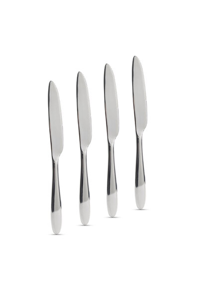 Alista Home Set of 4 stainless steel table knives, 21.5 cm, elegant design, s...