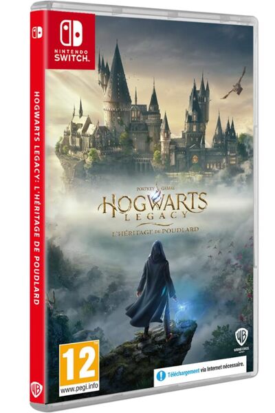 Warner Bros Hogwarts Legacy: Hogwarts Mirası, Switch