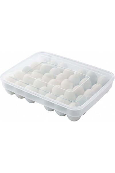 GENERAL Egg Trays Clear 34-Grid Egg Storage Box | Refrigerator egg organizer ...