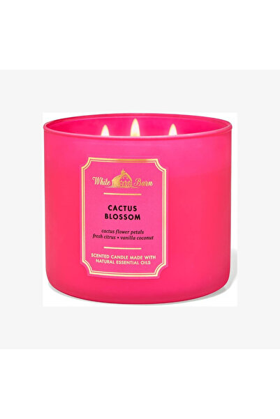 White Barn شمعة معطرة برائحة زهرة الصبار