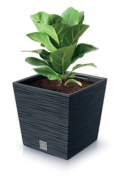 Prosperplast Ghiveci cu inserție Furu Square Low DFS300-S433