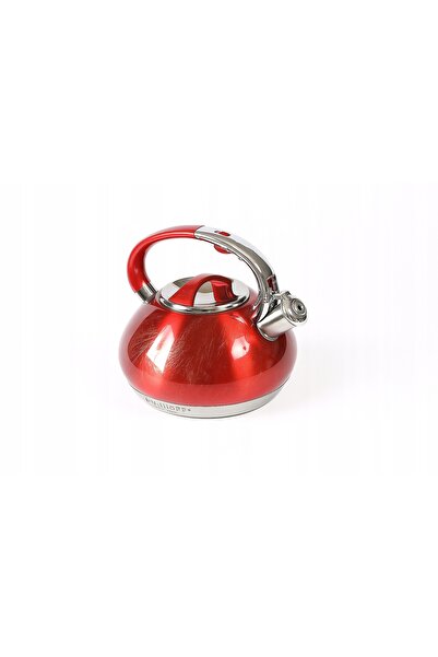 NO BRAND Ceainic din oțel inoxidabil de 3.0L, tradițional, cu fluier, pentru ...