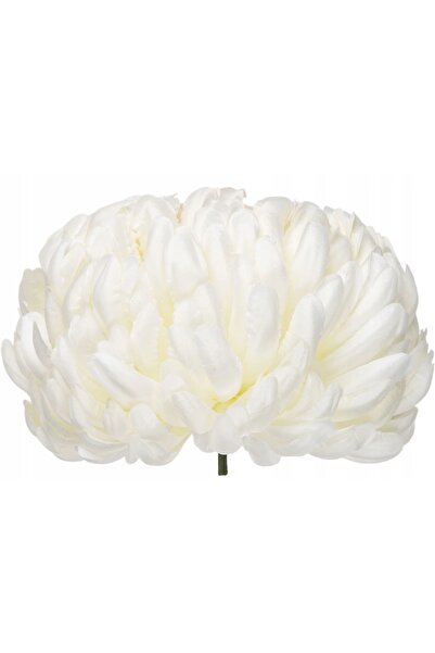 NO BRAND 6X CHRYZANTEMA GELÓDULO DE FABRICAȚIE CREAM LT. PEACH PREMIUM