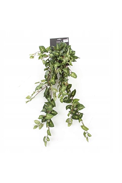 EDELMAN plantă cățărătoare artificială Fittonia, 80 cm, plantă cățărătoare cu...
