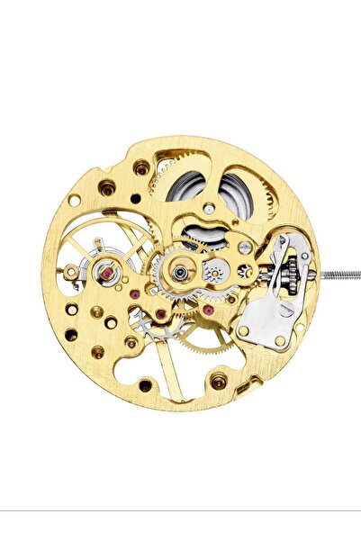 Choice MV001 Professional Repair Kit for Mechanical Watch Movements, High-Pre...