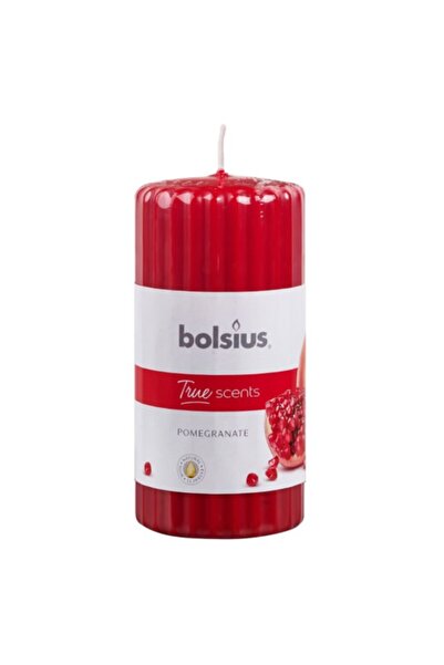 Bolsius Set 2 x Lumanare Stalp 120 x 58 mm Bolsius, Rodie