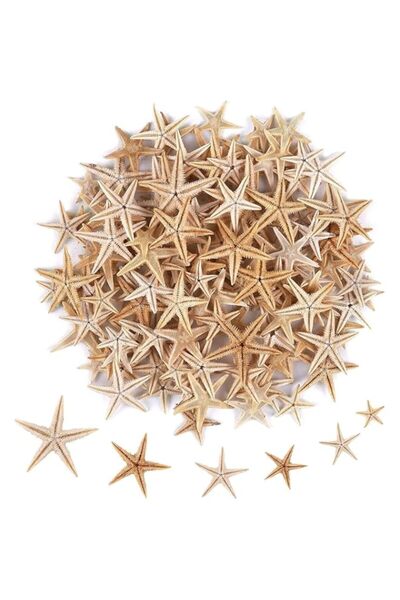 Generic 100 Pcs Small Starfish Sea Shells for Crafts, Spray Paintable, Perfec...