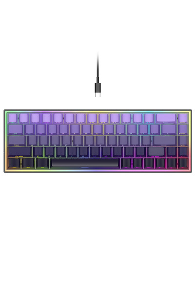 Mloong CX68 Blue Switch Mekanik Gaming Oyuncu Klavyesi Hot-Swap 1K Hz 68 Tuş ...