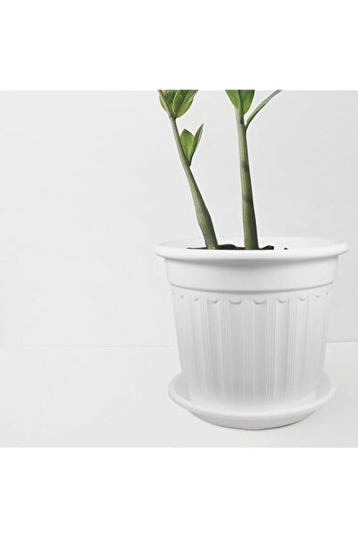 Generic Vsell24 Elegant Plastic Planter Pot with Tray, 32 cm x 28 cm Size, White