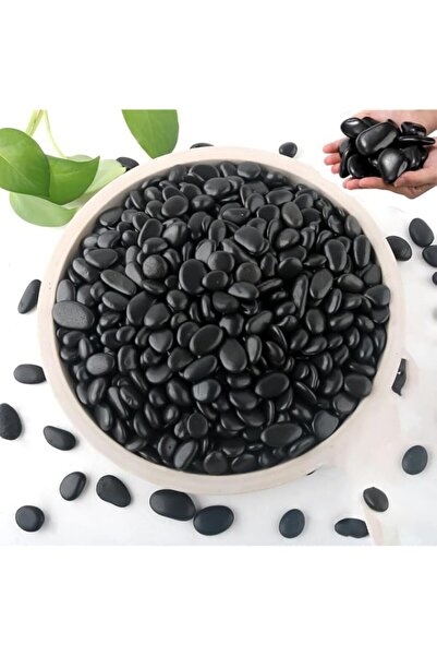 Generic Black Rocks for Planters, 2lb Polished Stones, Smooth Flat Pebbles fo...