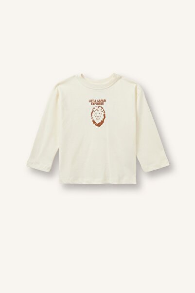 DeFacto 100% Cotton Crew Neck Printed Long Sleeve T-Shirt Baby Boy I0693A526Au