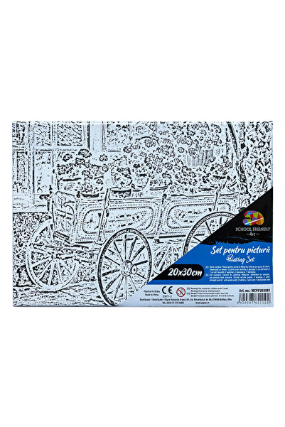 MC Micostore Panza predesenata pe sasiu 20*30cm flori 2 sf art pigna