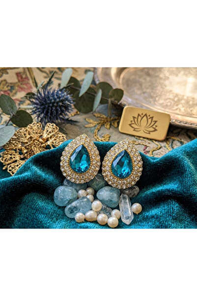 Generic Brand Complete Your Elegance with the Shiny Stone Earrings