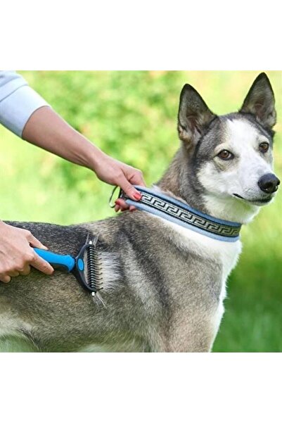 Roichil Plastik Saplı Metal Kedi Köpek Bakım Kıtık Tüy Topak Açıcı Tarak