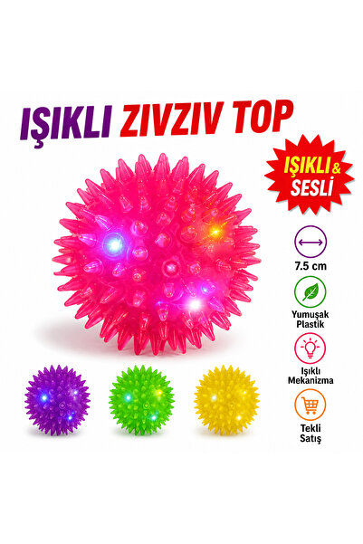 CANSPORT LED IŞIKLI SESLİ KEDİ VE KÖPEK TOPU MASAJ TOPU DİKENLİ DÜDÜKLÜ TOP