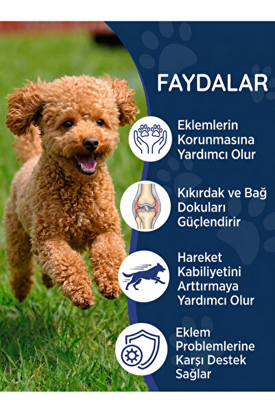 Dr. Nature's Köpek Glukozamin 75 Tablet – Eklem Destekleyici MSM Kondroitin İçeren Hareket ve Kıkırdak Desteği
