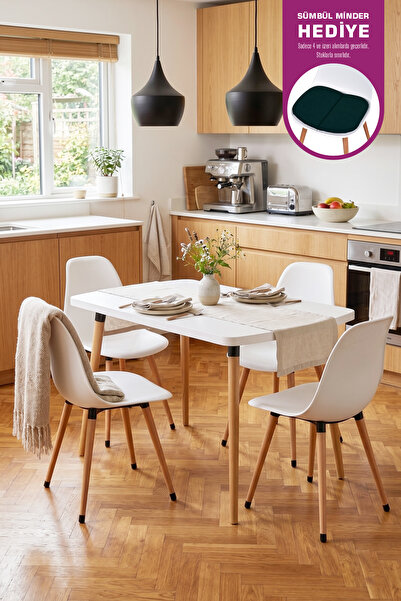 VİLİNZE Eames Sandalye Argos Ahşap MDF Sabit Mutfak Masası Takımı - 70x120 cm