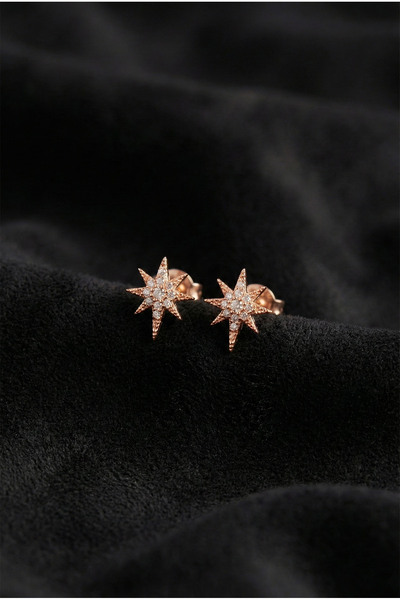 Roza Silver 925 Ayar Zirkon Taşlı Rose Kutup Yıldızı Çivili Gümüş Küpe