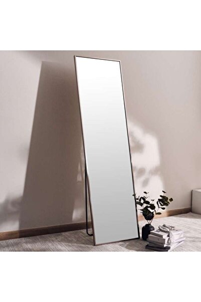 PAN HOME مرآة إيتزل شيفال بإطار معدني 44×162 سم - فضي