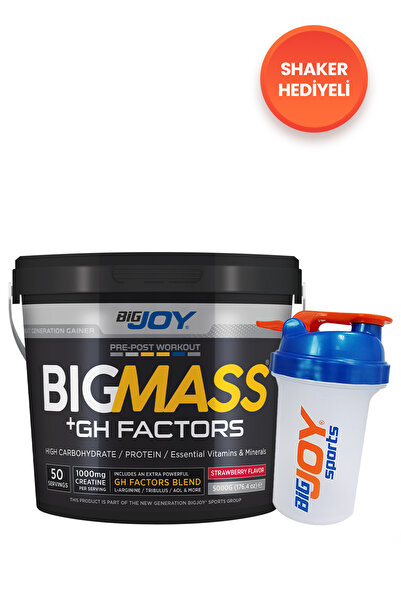 Bigjoy BIGMASS Gainer GH FACTORS Çilek Aromalı 5000g
