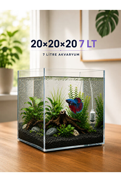 HOMVELLA Kristal küp nano akvaryum & Beta fanusu/ 20×20×20 7 lt küp Akvaryum