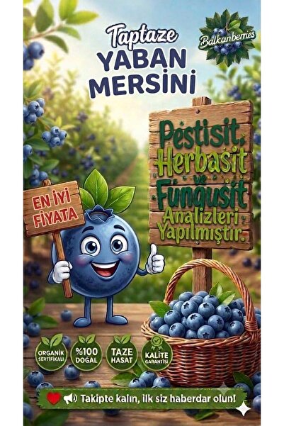 balkanberries Taze Yaban Mersini Meyvesi Organik Sertifikalı Blueberry 500 Gr.