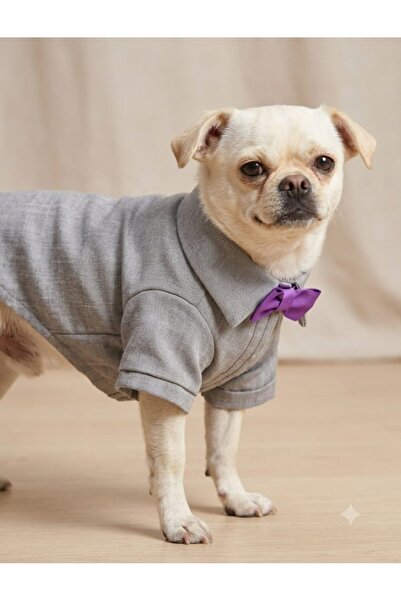 atelyu Cat Dog Outfit Blue Summer Shirt