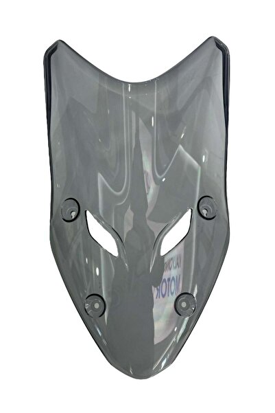 Bajaj Dominar 400 UG Siperlik Camı (Aksesuarlı Model)