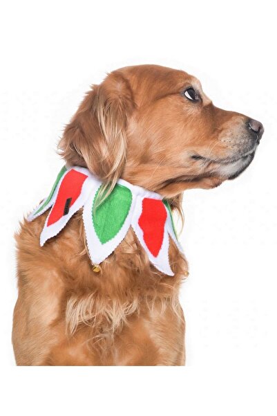 Petza Köpek Lastikli Yılbaşı Yakalık Zazu